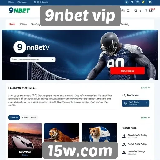 Revisão de segurança do site 9nbet vip